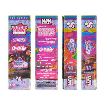 Big Chief Premium Disposable 2G - Watermelon Zlush - HITC-BC-DISP-2G-P-WATERMELON-ZLUSH