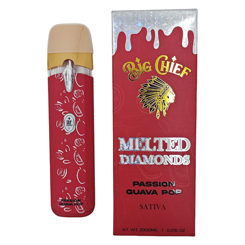 Big Chief Premium Disposable 2G - Watermelon Zlush - HITC-BC-DISP-2G-P-WATERMELON-ZLUSH